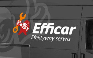 Kostrzewa_Efficar